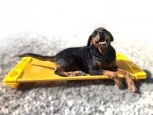 Caminha PET - Jott Play