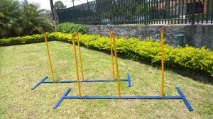 Slalom Pet Play - Jott Play
