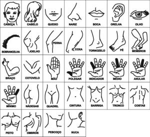 Carimbos Esquema Corporal (32 pecas) - Jott Play