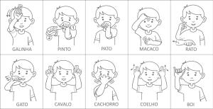 Carimbos Sinais Animais - Jott Play padrao_300.jpg